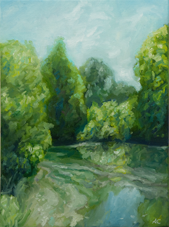 Barton Springs I by artist Alyssa Creagh